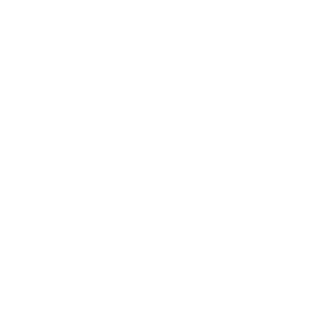 Ceylon Spirits